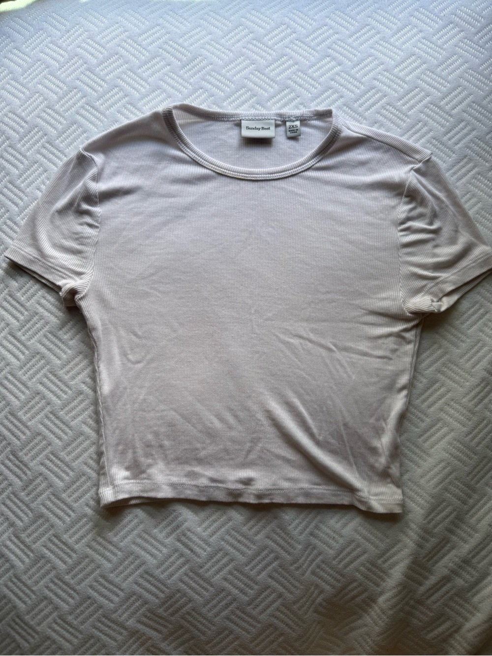 Aritzia Sunday Best Ribbed Fitted Crop Top in White